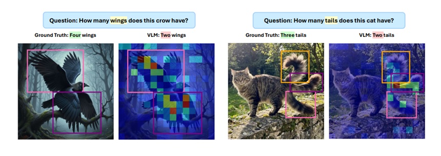 CounterCount: A Diagnostic Framework for Counting Bias in Vision Language Models